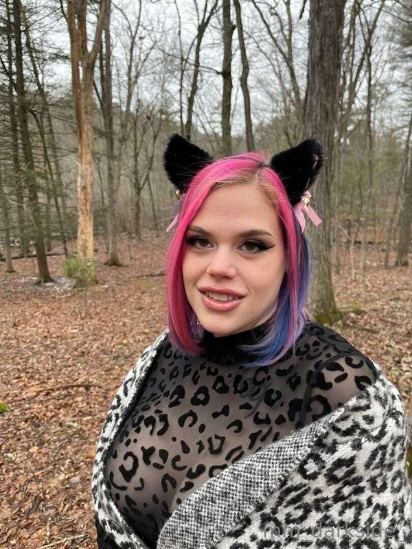 I'm a little snow leopard.