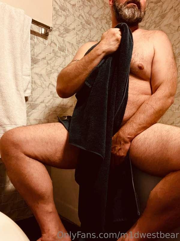 m1dwestbear image #4