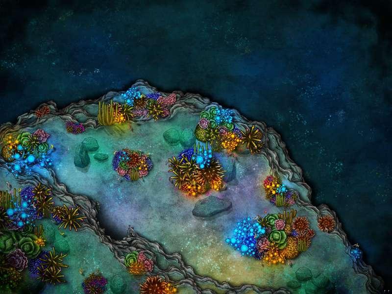 Under the Sea