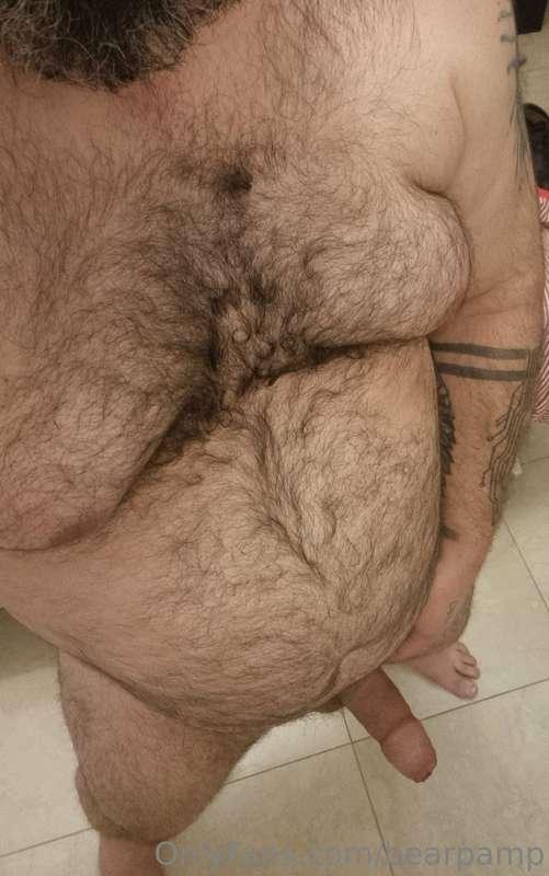 bearpamp image #0