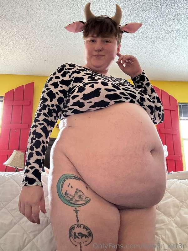 Moo 🐄