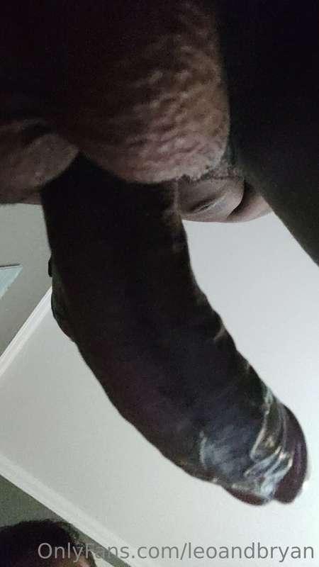 leoandbryan image #6