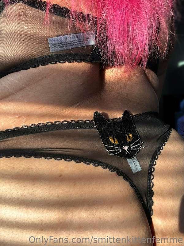 Pretty kitty 🐈‍⬛