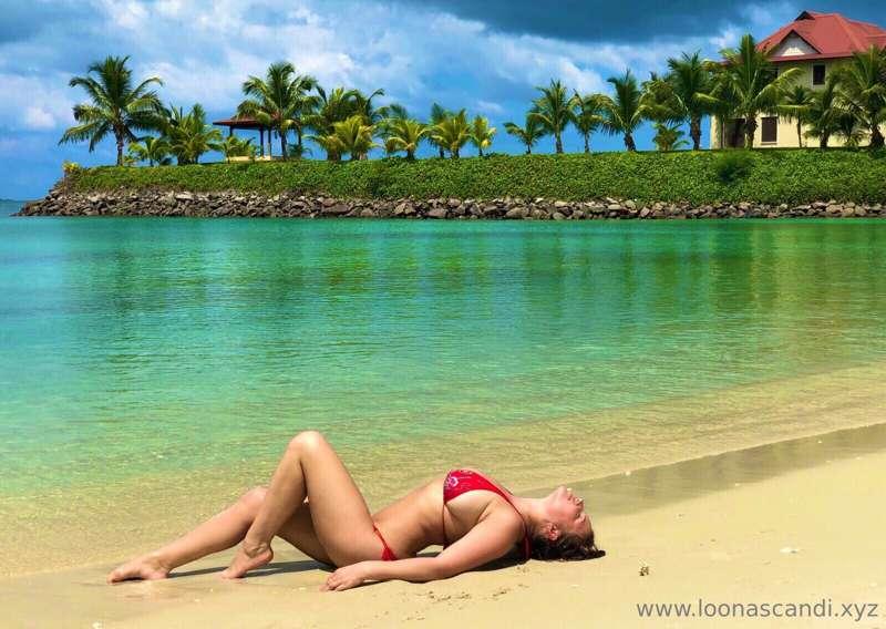 loonascandy image #0