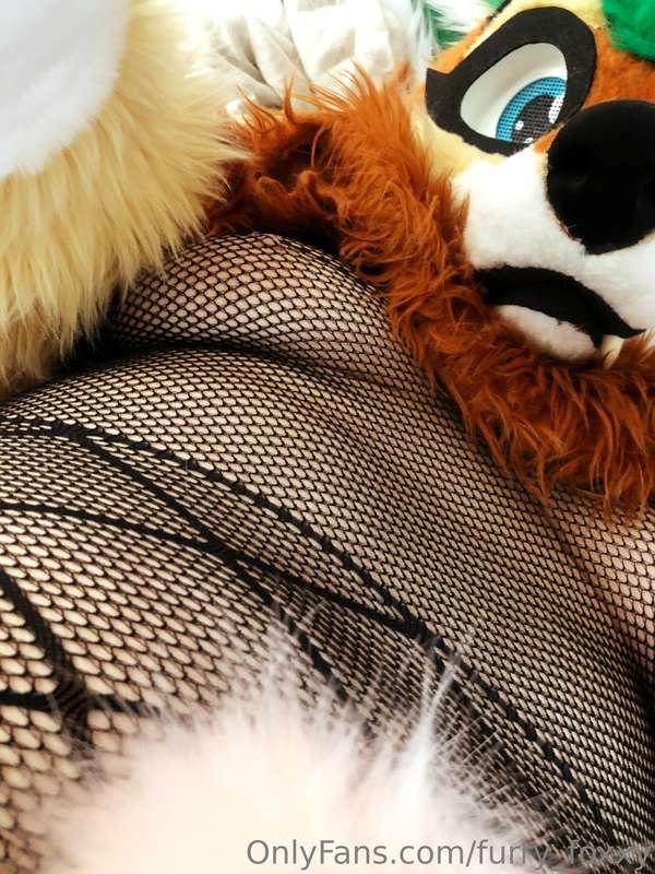 Prepare for Halloween! Don´t get stuck in my "Net"! 
