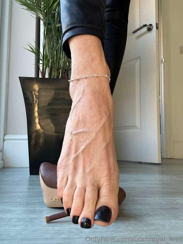 bornroyal_feet image #0