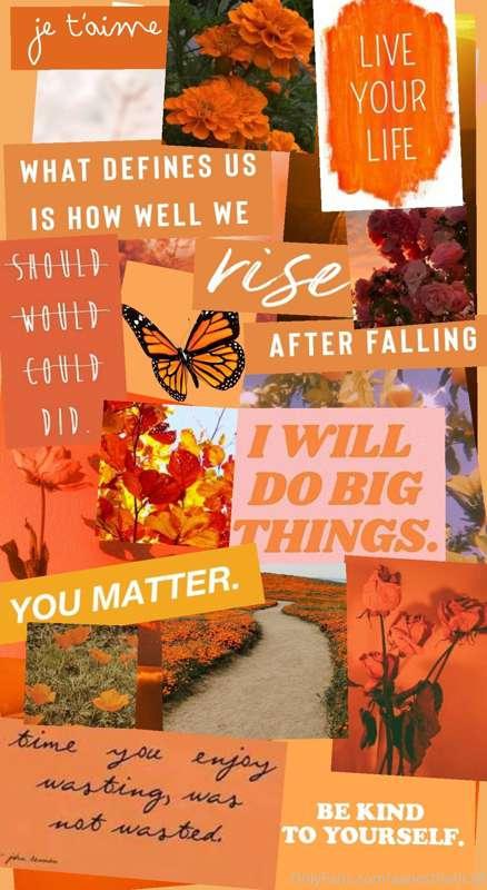 aanesthetic24 image #4