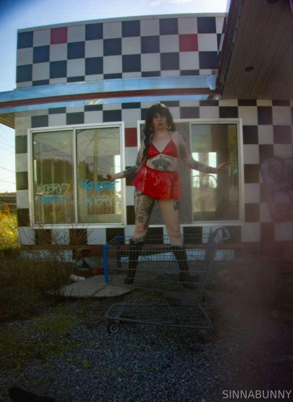 sinnabunny.premium image #25