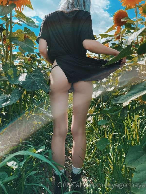 leyagornaya image #1