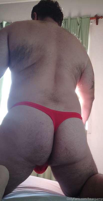 bearpamp image #4