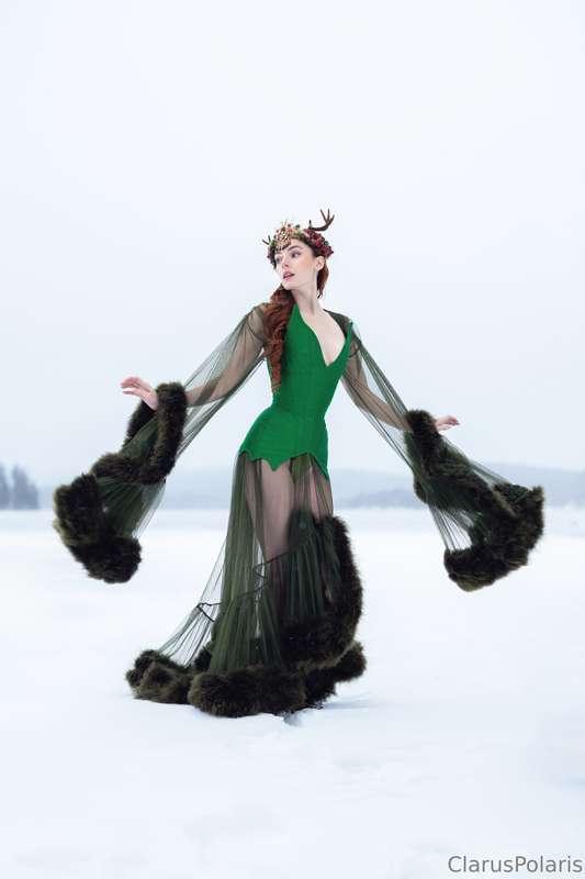 claruspolaris image #5