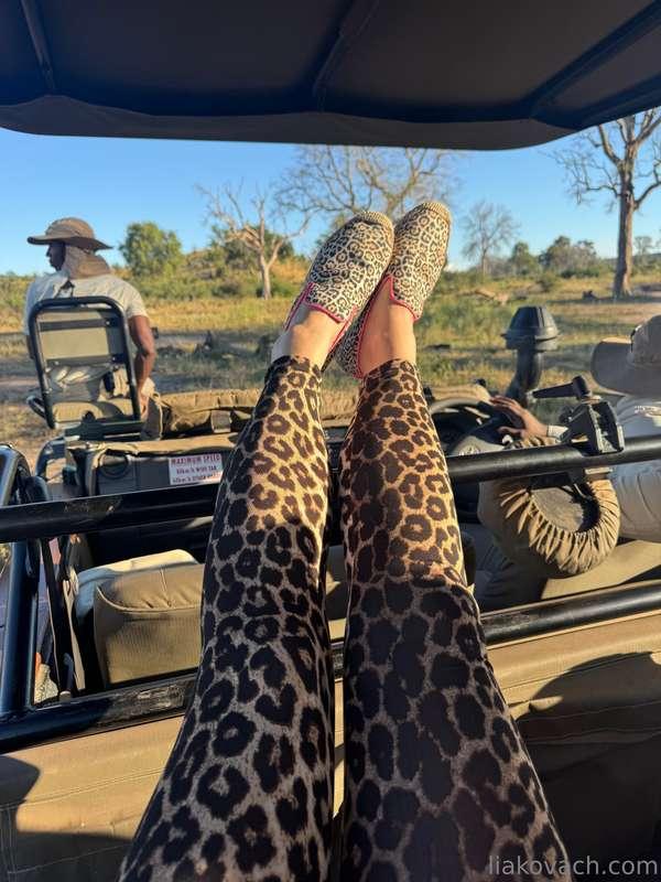 Zimbawe Safari adventures! 