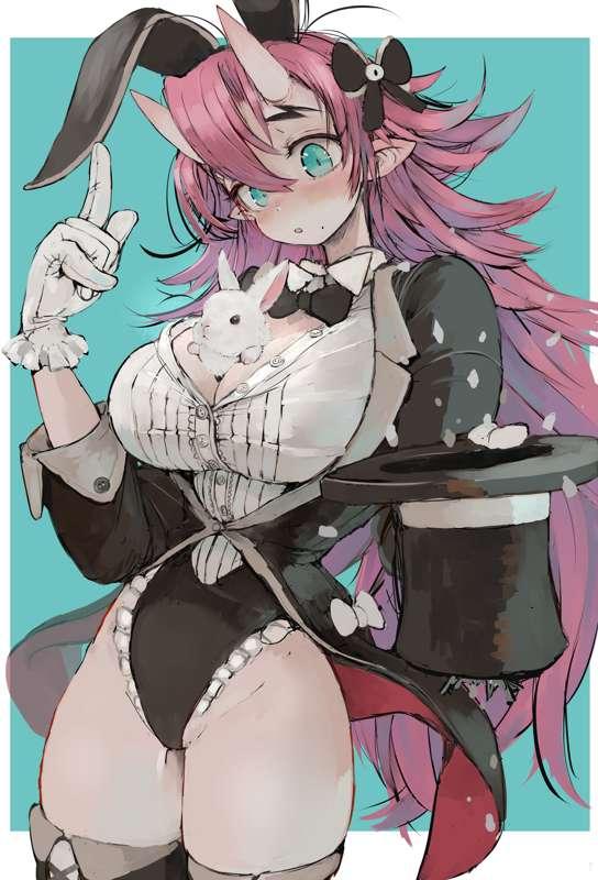 momo bunny