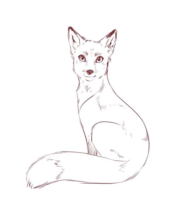 Fox