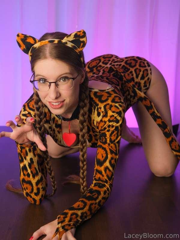 RAWR! Let's play together! 🧶
Subscribe to my PREMIUM @LaceyB..