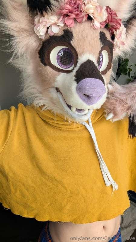 catexclusive image #0