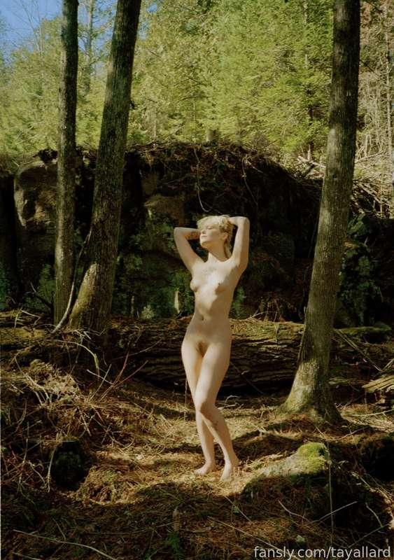 tayallard image #1