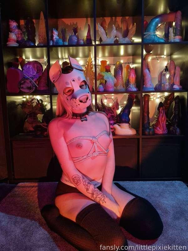 littlepixiekitten image #1