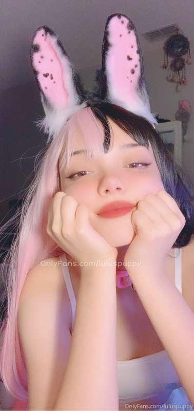Boy, look at you looking at me, meow! 💗