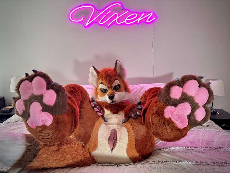 Hello weary traveler! Can I interest you in some fox to reju..