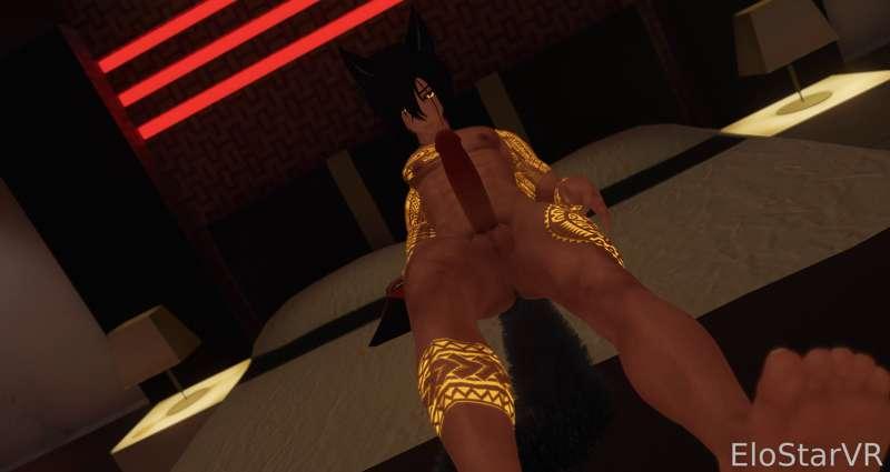 elostarvr image #17