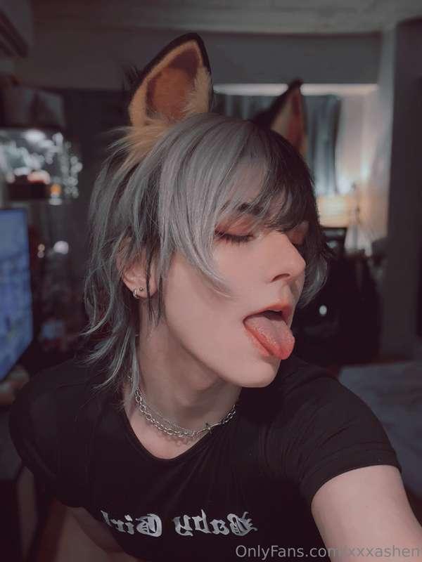 xxxashen image #2