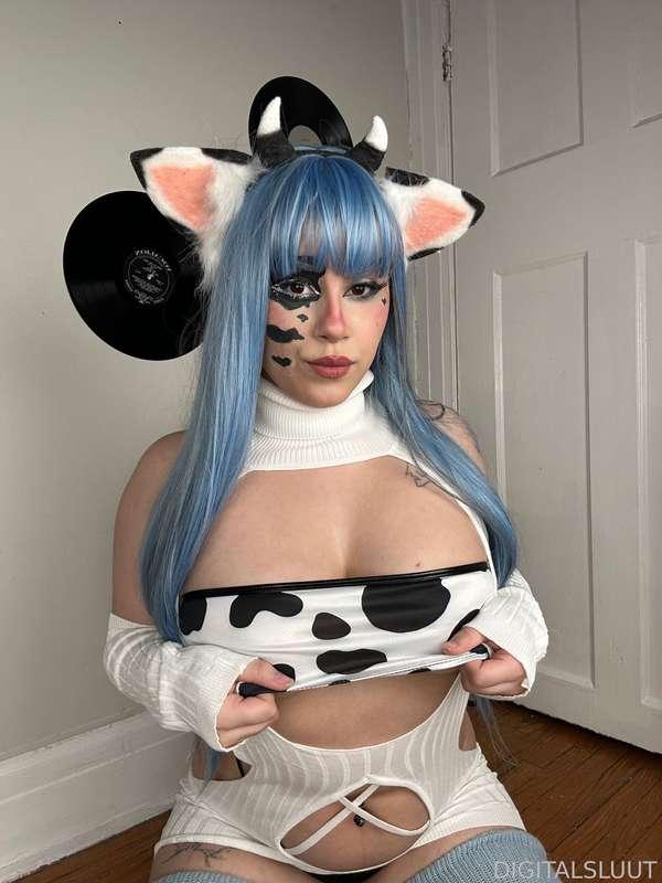 bunnisluut image #13