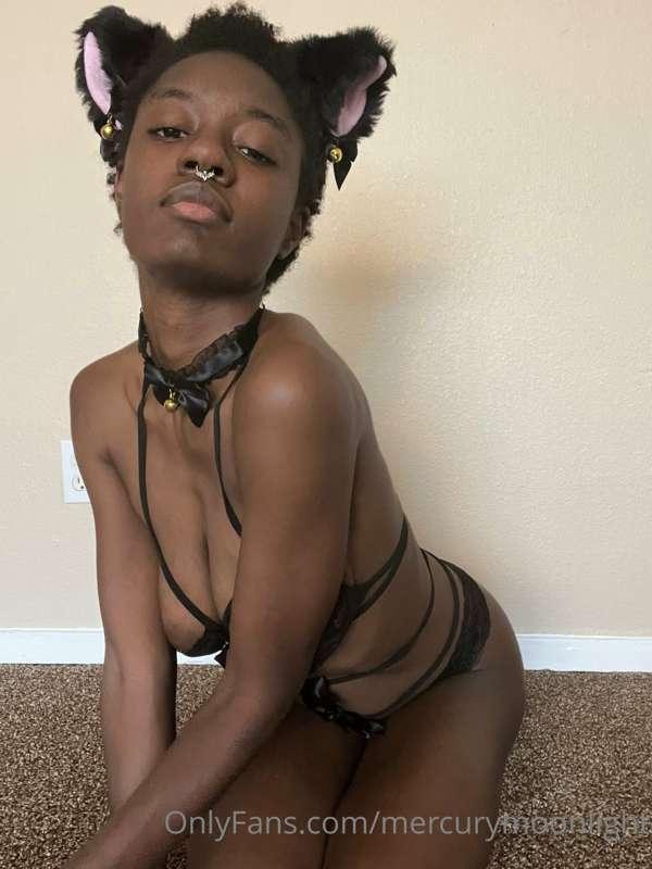 Photo shoot with my ears tail and collar. For $3 you can see..