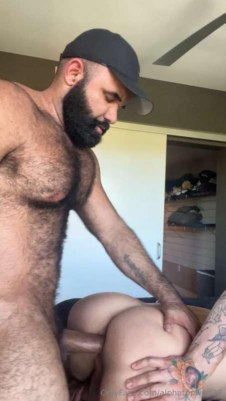 alphatopwolf22 image #13
