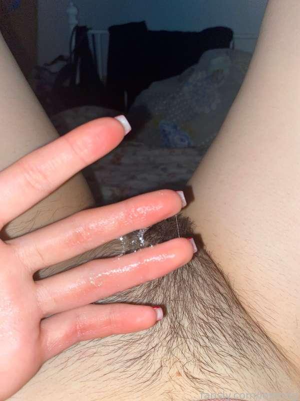 lostodg image #3