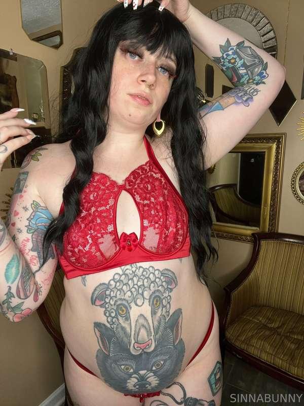 sinnabunny.premium image #2
