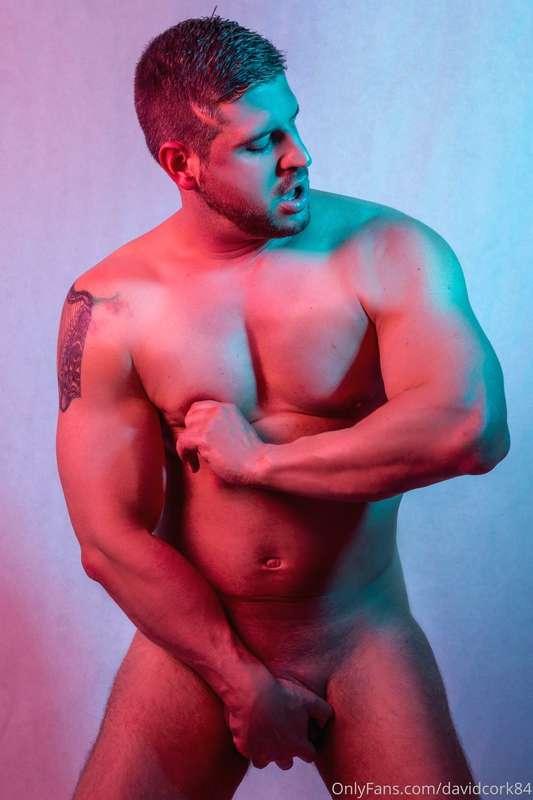 Horny as a bull .