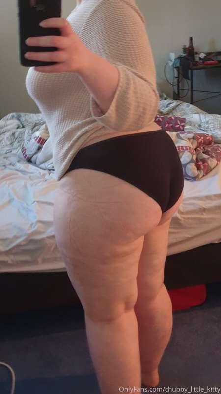 chubby_little_kitty image #0