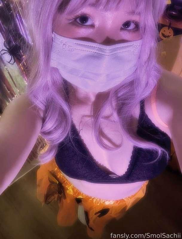 smolsachii image #3