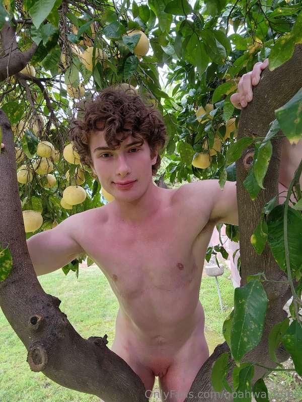 chilling in my yard :)