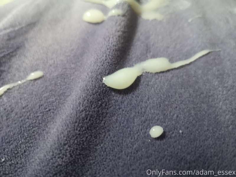 when you google sperm, this is what wikipedia should show yo..