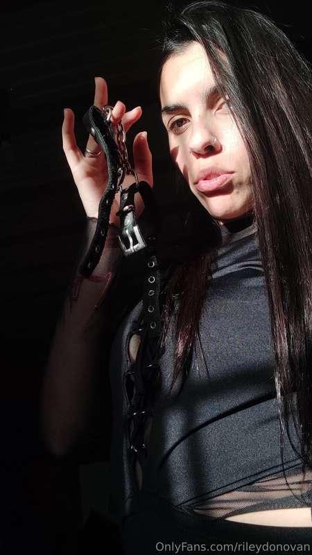## My pet needs a tail and a collar. Then I'll play with you