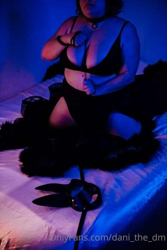 I'm Sabine, a tabaxi Rogue. It is your pleasure to have met ..