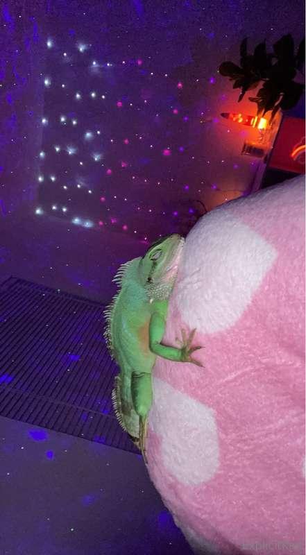 explicitkait image #18