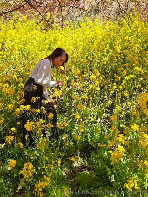 do you want to smell my flower ?? oh i mean this flower
