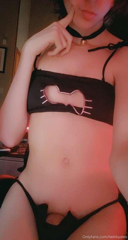 🐈
