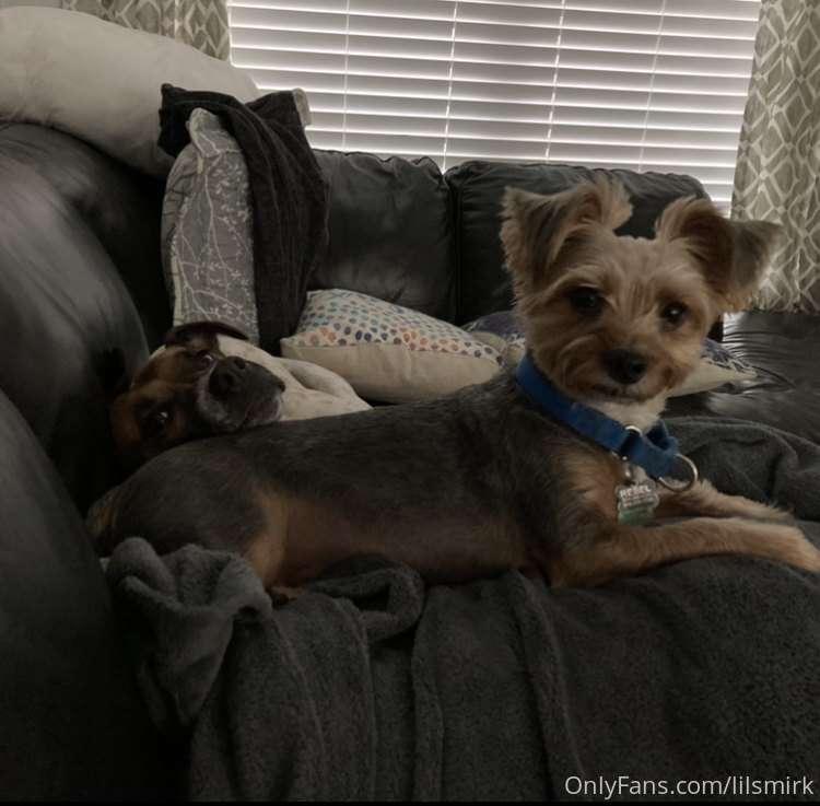 Happy national dog day!!  Kisses to all the dog lovers out t..