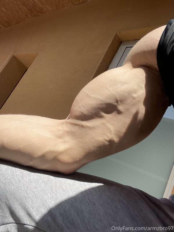 armzbro97 image #1