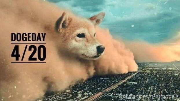 We support Onlyfans accepting Dogecoin!! #DogeDay420