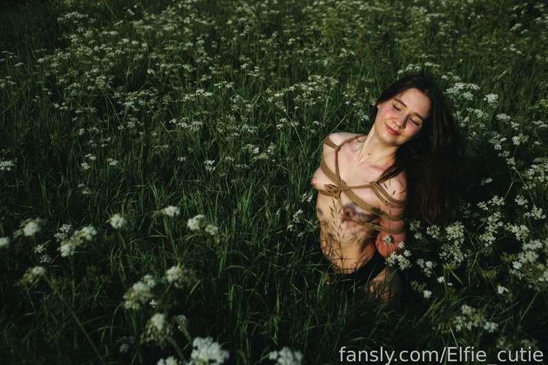 elfie_cutie image #4