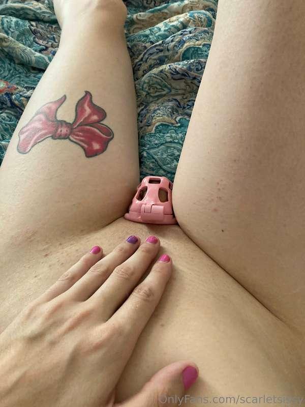 Little check in….. got internet back! doing some chores toda..