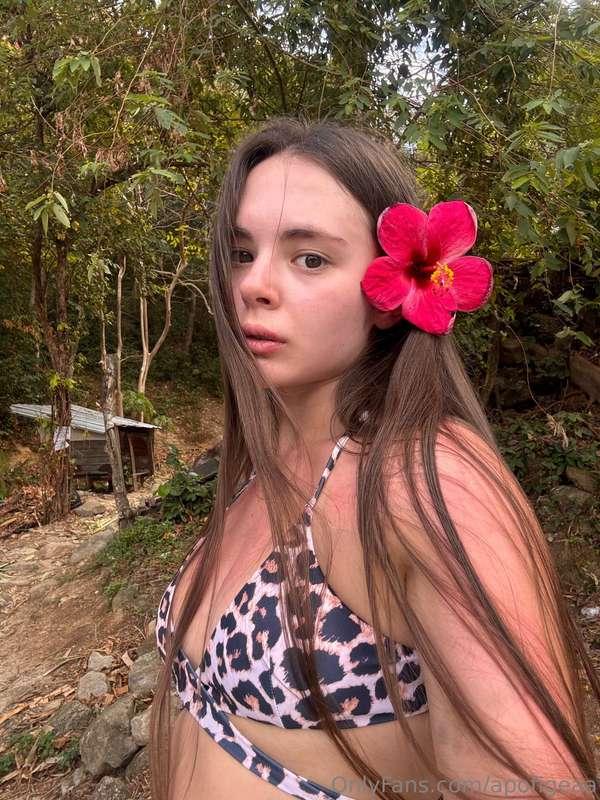 🌺