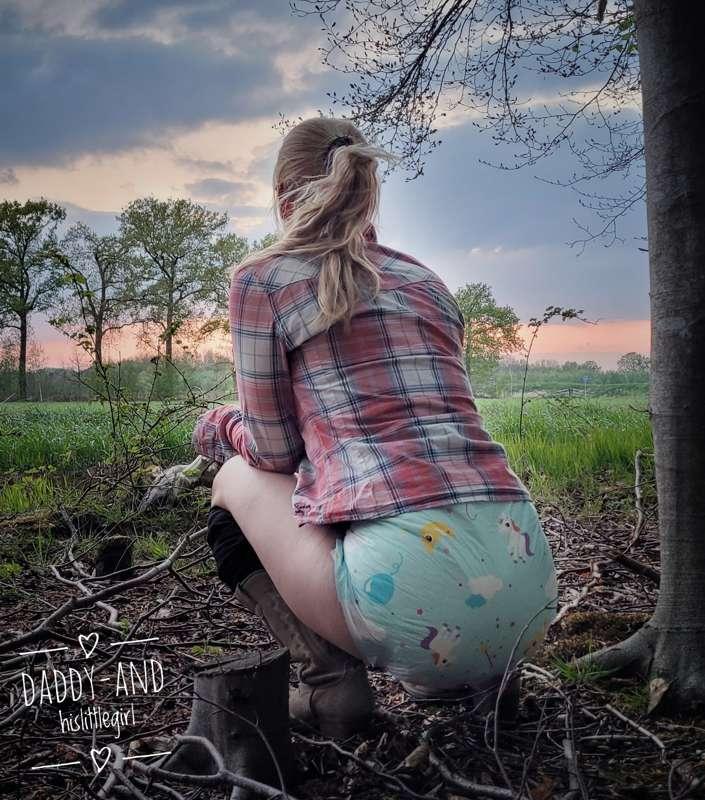 An evening in the woods