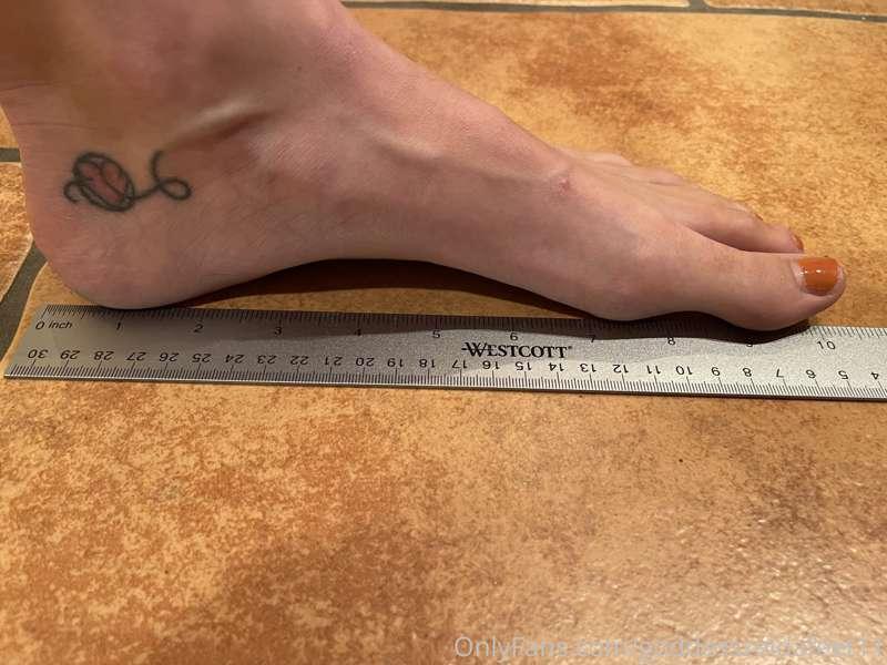 goddesszeldafeet11 image #1