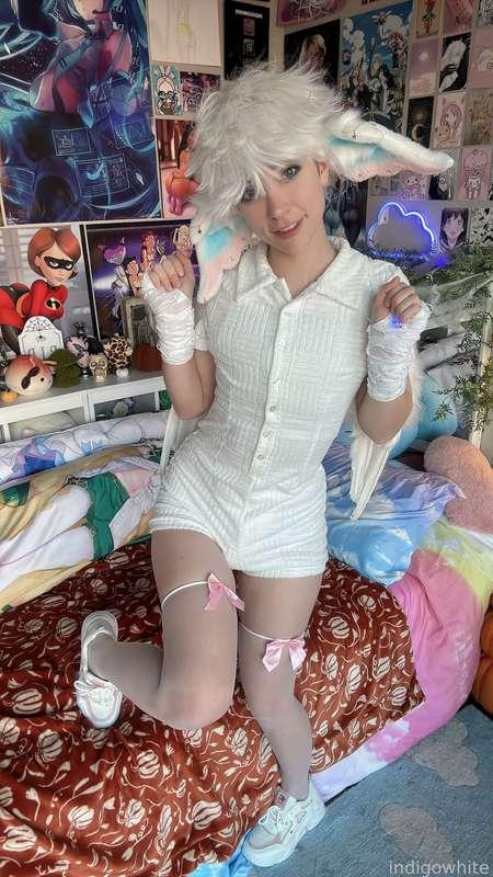 indigowhite image #152